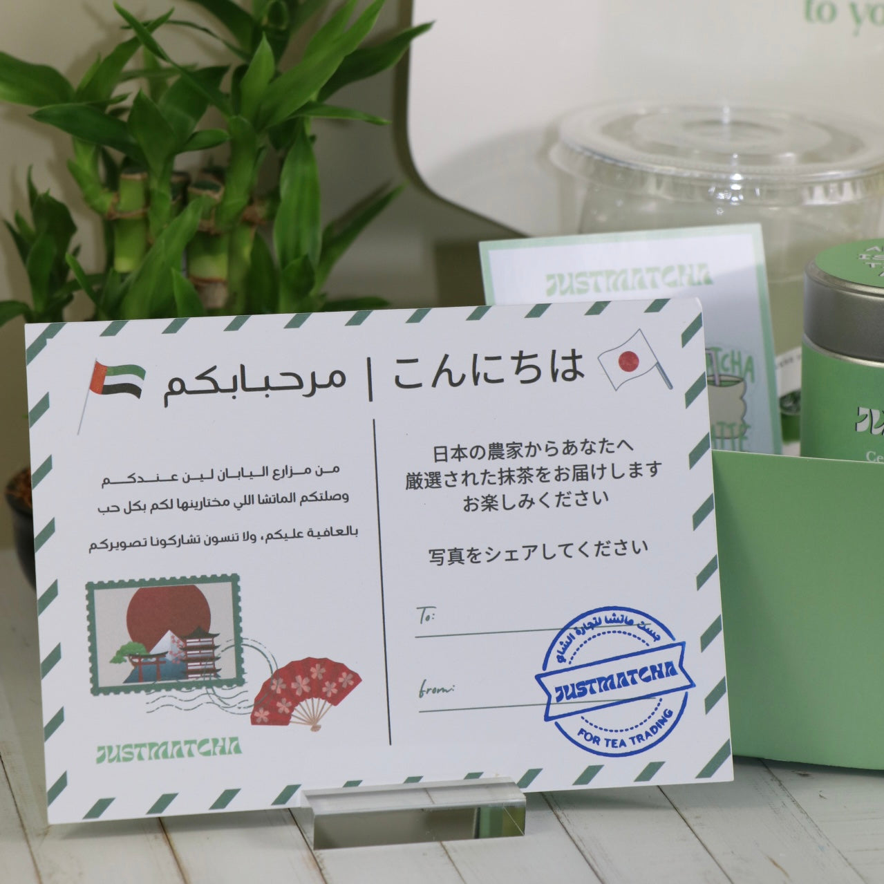Green Matcha ( Tin )